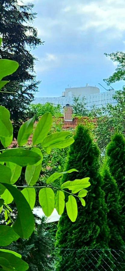 Johnis Fewo, Naehe Stadtzentrum - Uni In Sehr Ruhiger Lage Mit Terrasse Und Eigenem Parkplatz Cottbus Luaran gambar